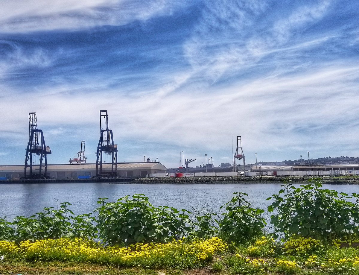 arae08's tweet photo. #Salesforce has nothing on #PortreroPowerPlant from this vantage... #history + #infrastructure #transforms #energy at the #edge of #SanFrancisco
#NPC2019 https://t.co/IfOdzruDOE