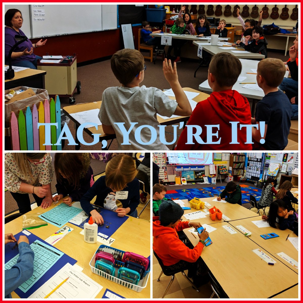 BVilante's tweet photo. Action Adventure Role Play, LEGO Robotics, Owl Pellets, Free Form Painting and more! What a great day for kids and parents! #proudtobeHSD https://t.co/AXx9Zua4Wn