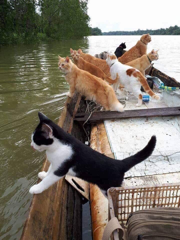 tomscrazyworld's tweet photo. Gone fishing...... https://t.co/fN2jZnK5VE
