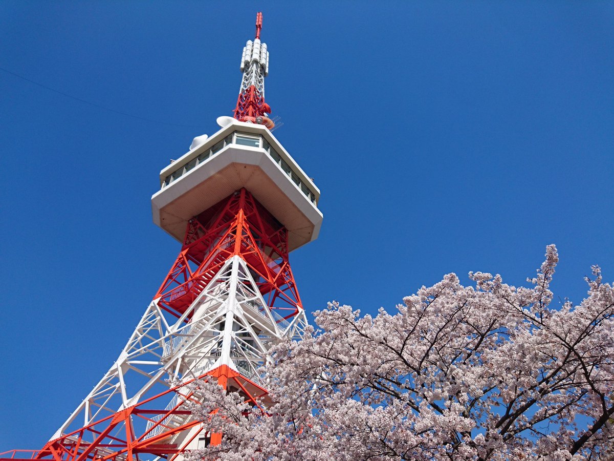 ブルーex No Twitter 北関東は桜が満開と聞きつけて 宇都宮市の八幡山公園に昨日 東京から行ってきました 宇都宮タワーからは とちぎテレビの電波が出ていますので 栃木県でも 日曜はカラフル が放送されることを期待します 日曜はカラフルフォト 宇都宮