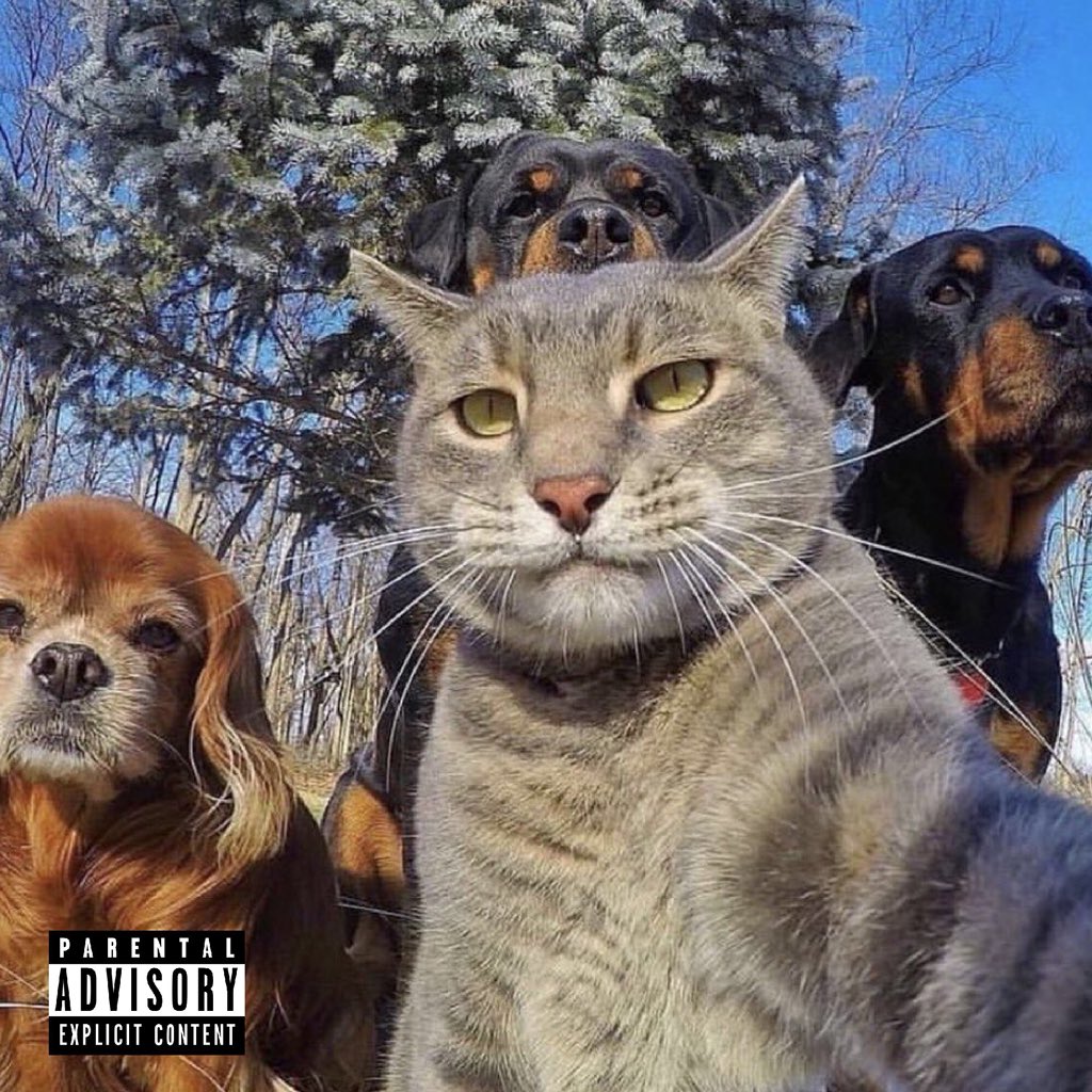 Julian_Epp's tweet photo. Any photo instantly looks better when you add a parental advisory warning https://t.co/uT4ZqveDKg