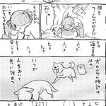 犬と猫どっちも飼っていると心臓の音すら聴き比べちゃうw