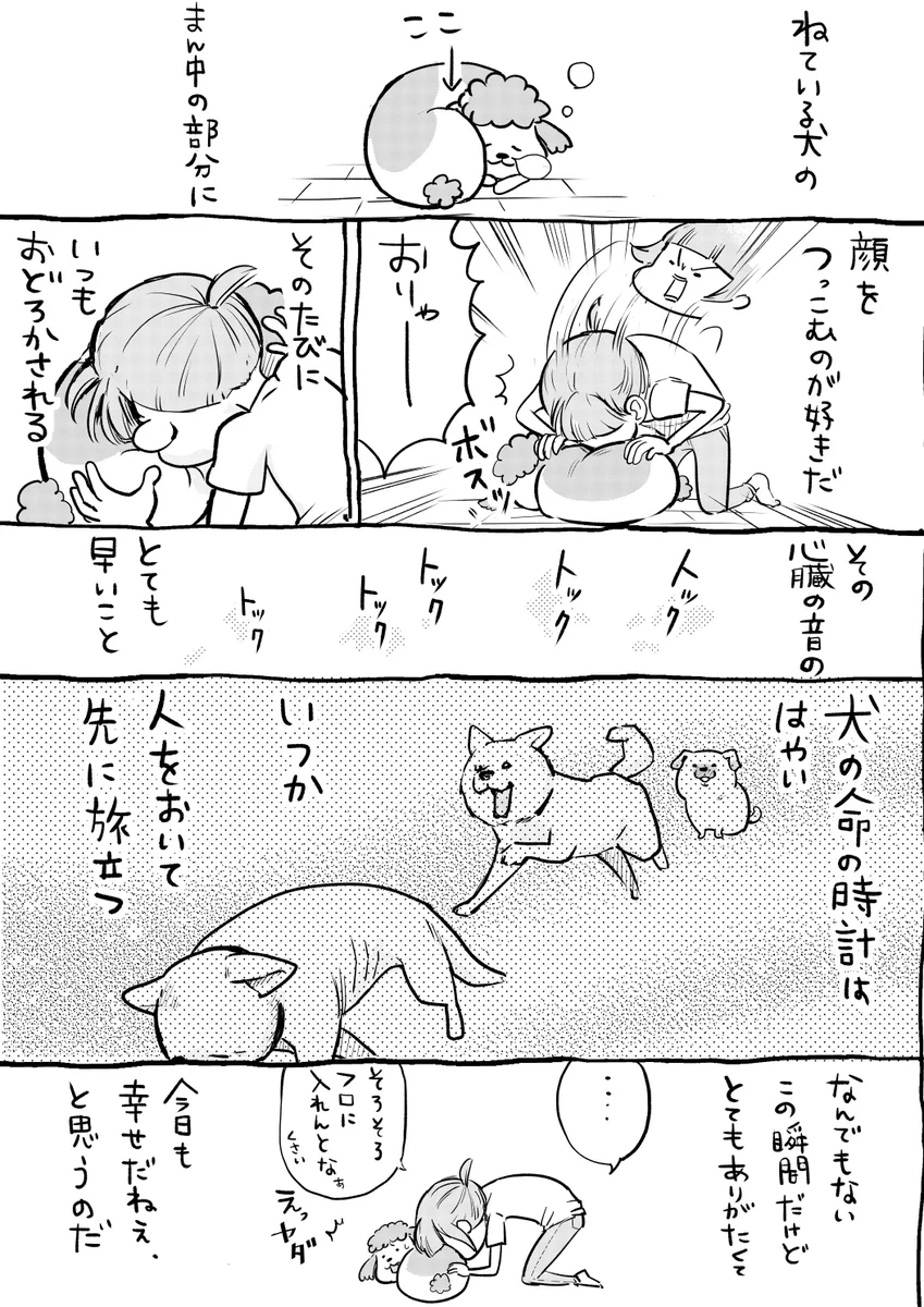 犬と猫どっちも飼っていると心臓の音すら聴き比べちゃうww