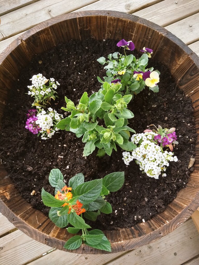 prttywhenimdead's tweet image. trying my best to have an ok day despite the fact that i'm still not over my ex a year after breaking up and i have to see my abuser tomorrow