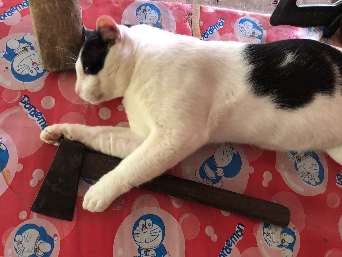 ขวานฟ้าหน้าดำ