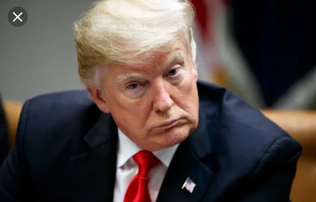 Imogean Tweetie tweet media