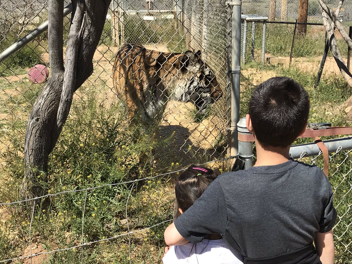 JustinLathia's tweet photo. Took advantage of some great weather and time off at the #SpringBrainConference to go to a local wildlife park. https://t.co/MTyAhIZf04