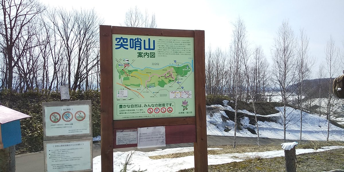 突哨山 突哨山