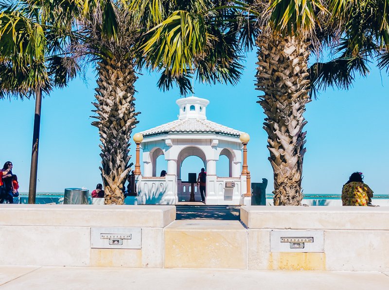Experience the beauty of the festival Mirador de la Flor at the 2019 Fiesta de la Flor! #FDLF
