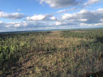 Overhead view of tornado damage