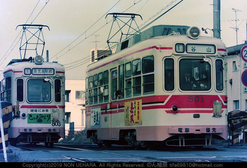 のん植原 No Twitter 鹿児島市電 鹿児島市交通局 500形 800形 2100形 涙橋周辺 クリーム色 800形801号 803号 涙橋電停 500形502号 涙橋より郡元側を見る 502号のいる辺りが現在の涙橋電停郡元側のスロープ 800形813号 涙橋ガーター橋 2102号登場時