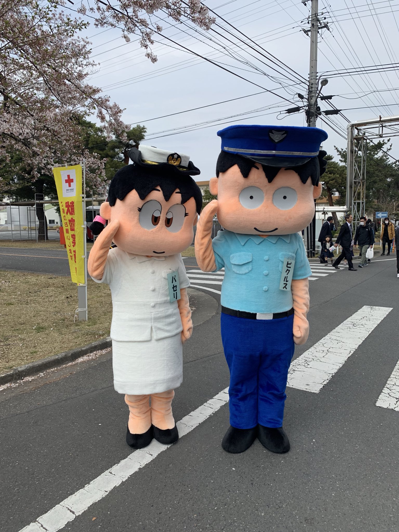 🎏ごかぼちゃん🎏 on X:  