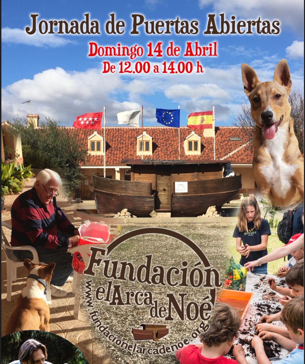 fundarcanoe's tweet photo. #jornadapuertasabiertas #fundacionelarcadenoe #moratadetajuña te esperamos hoy 12.00 #masterclass @origencanino y nuestros 🐾 #enadopcion y #apadrinaunasorejas 🐾💝nuestra fundacion es la vuestra!!!! #amigos #voluntarios #planazo de #domingo #vetnova #doxelsupplements #frontline https://t.co/EDT24AH4QG