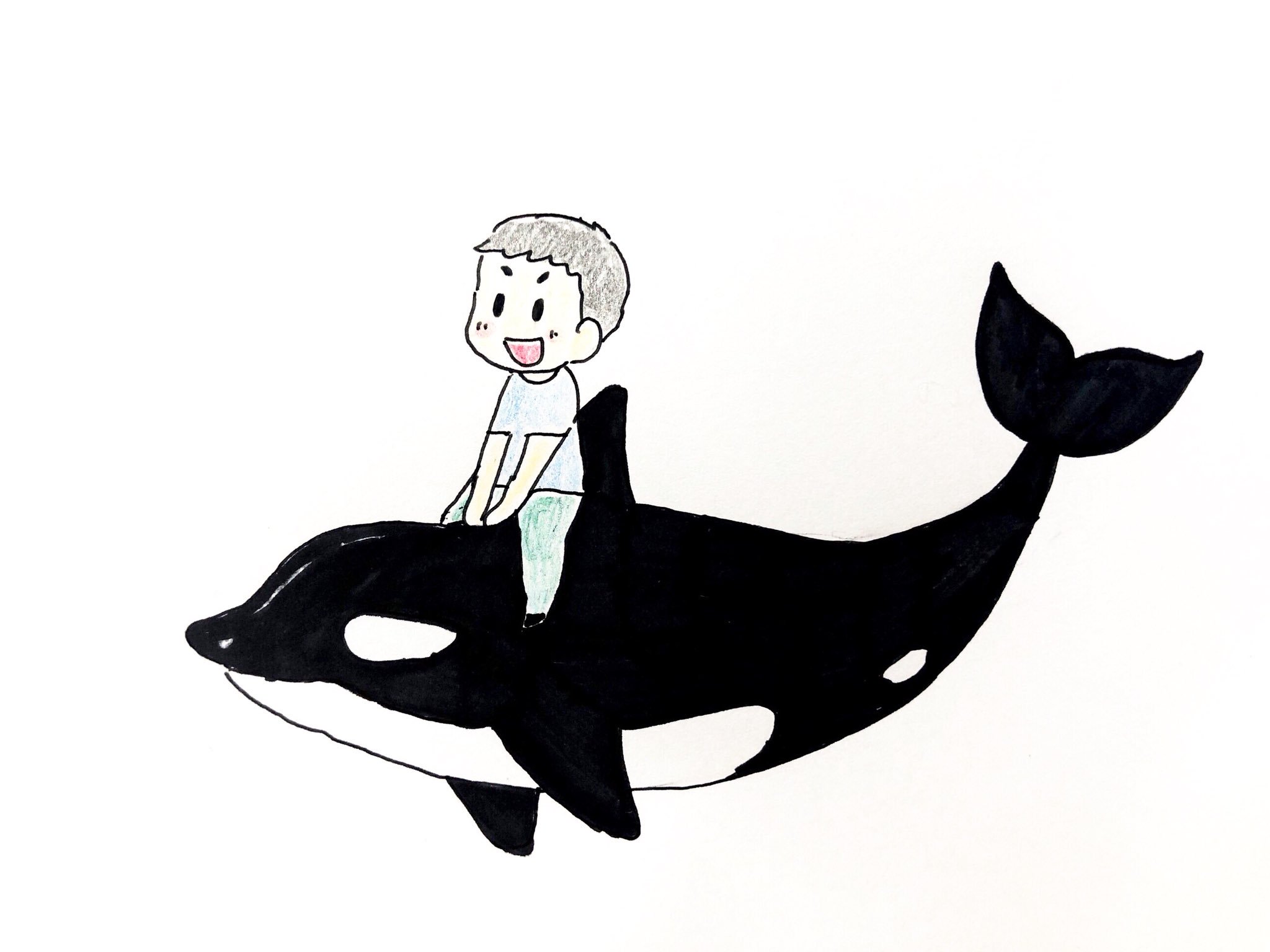 はたっぺ 絵描き シャチに乗りたい イラスト シャチ 鯱 T Co Qpe7tgem95 Twitter はたっぺ 絵描き シャチに乗りたい イラスト シャチ 鯱 T Co Qpe7tgem95 Twitter