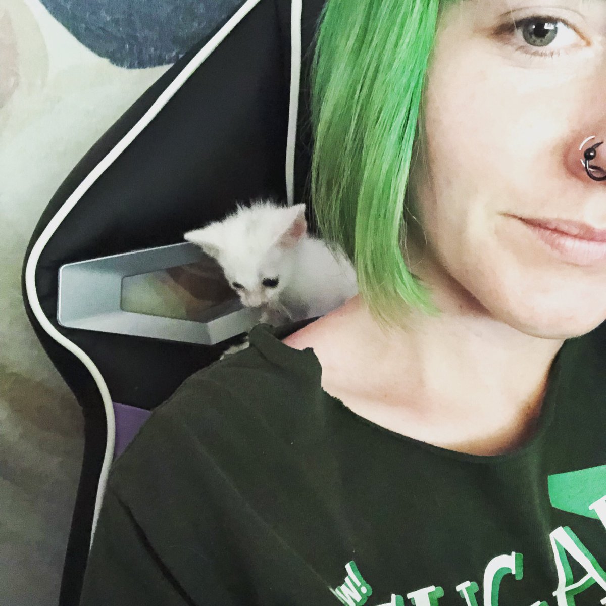 mouselele's tweet photo. Lowkey obsessed with Kirby 😻 https://t.co/2gF2RY9Ceu