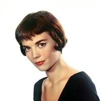 Hair Management tweet media