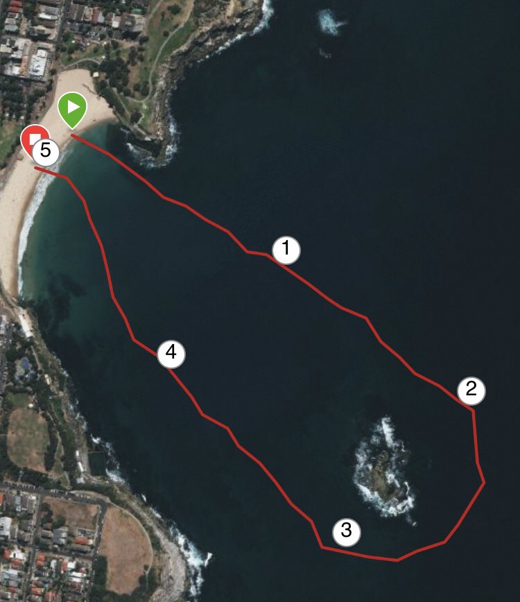 anika_gauja's tweet photo. A bit wobbly! 2.52km #CoogeeIslandChallenge #CoogeeSwims https://t.co/MWMypaQiOv