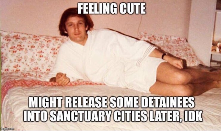 MeganFoxWriter's tweet image. 😆 #SanctuaryCities #BuildTheWall #CallTheirBluff