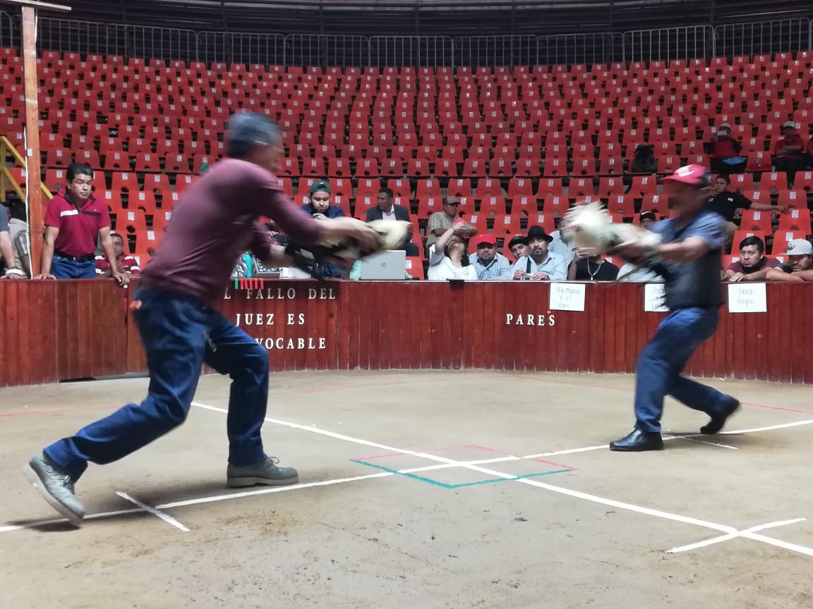 PueblaPalenque's tweet photo. Ya los valientes junto con sus aves de combate en el segundo día de acciones dek #DervyDeGallos de la @FeriaPuebla  y para la variedad al filo de la media noche @Calibre50 https://t.co/TTlhDt0zpb