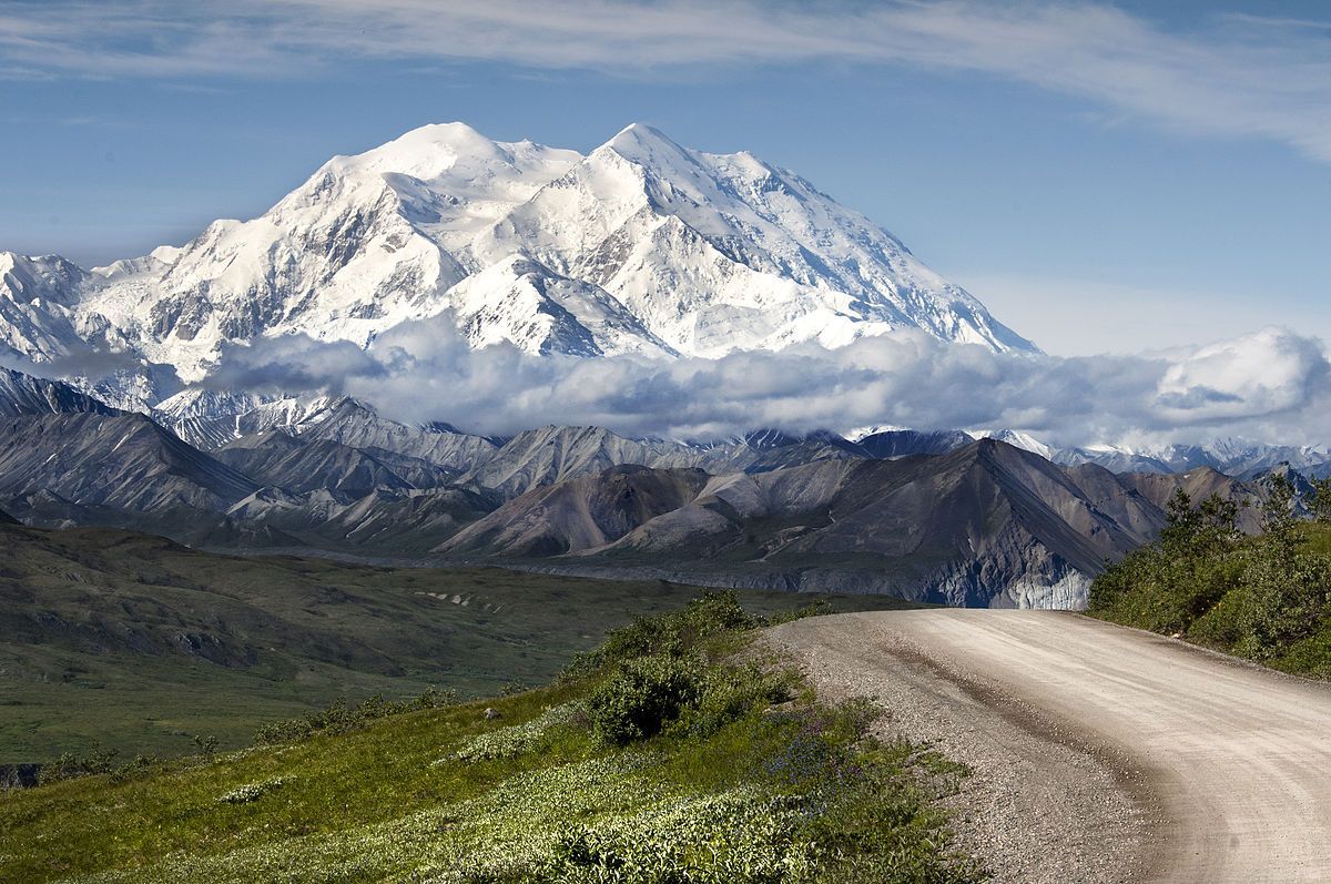 SaevusWildlife's tweet photo. A mountain, a reserve park as well as a town, Denali brings joy to the heart and a skip in the step as the author recounts her time in the wilds of Alaska.  
Read more - https://t.co/itegvAeLCn  
#ALASKA #BOLSHAYAGORA #CARIBOU #DENALIWILDERNESS #GRIZZLYBEAR #KENAILAKE #WOLVE https://t.co/lrny101p2t