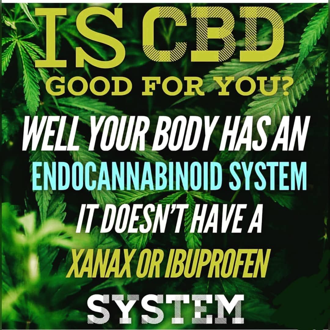 mycbdexperience's tweet photo. Just some fun facts 🌱❤️ #cbd #cbdeducation #CBDedibles #CBDB19 #CBDlife #CBDworld #hemp #hempoil #cbdoil #hempflowers #pills #perscriptions https://t.co/ym5MoCMRav