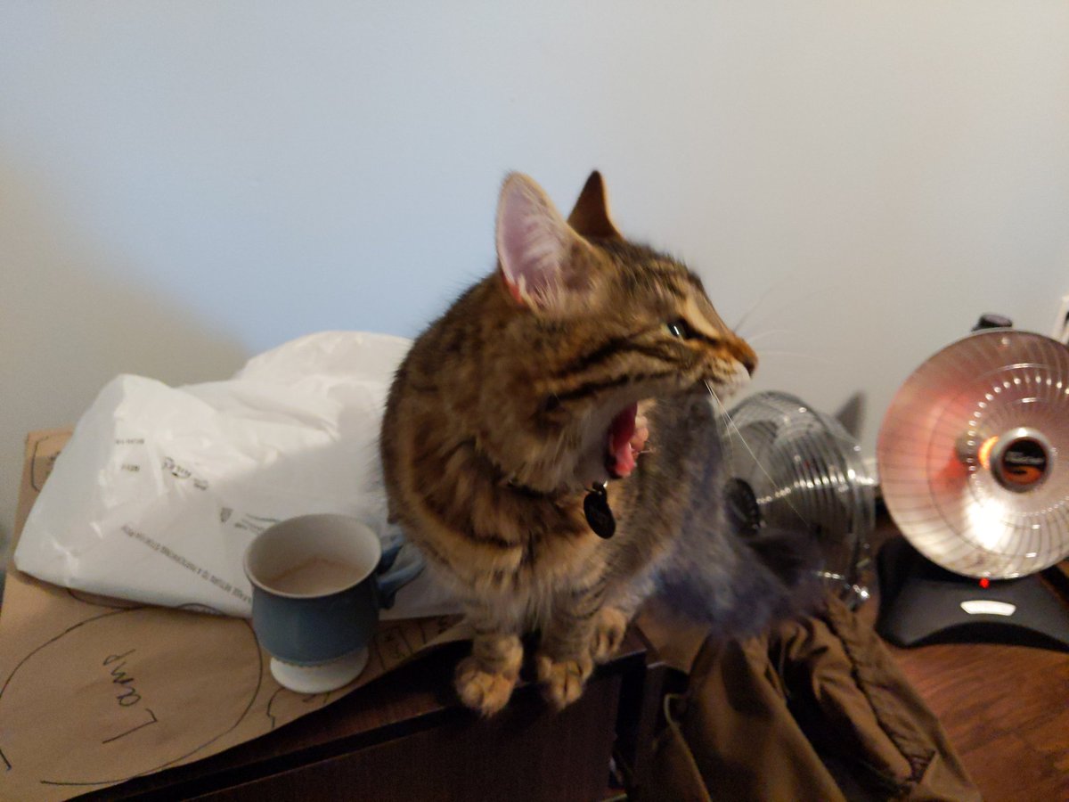 So much yawning going on tonight.