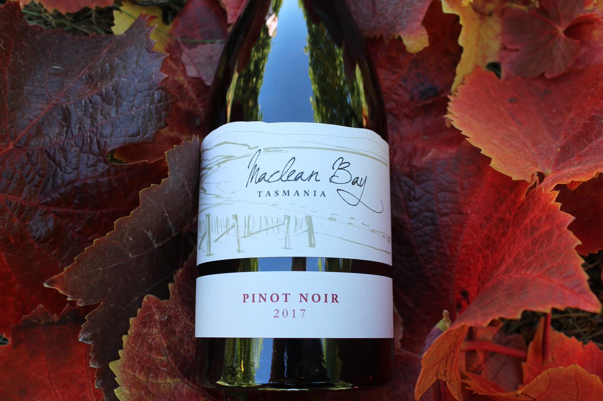 Pure Tasmanian Pinot #tassiewine #tassiestyle #pinotnoir #red