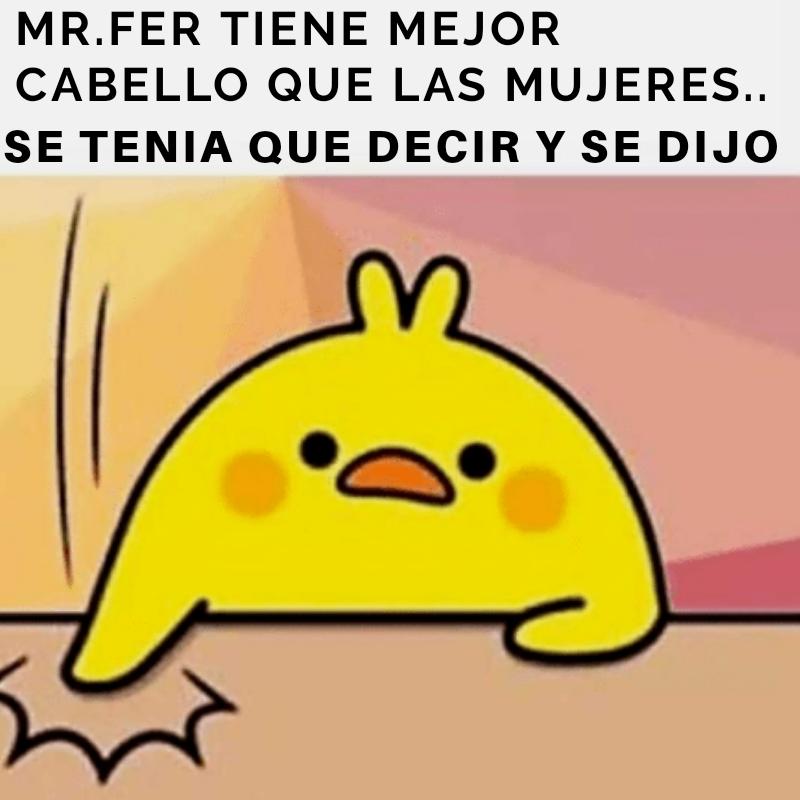 Fans de Mr.Fer tweet media