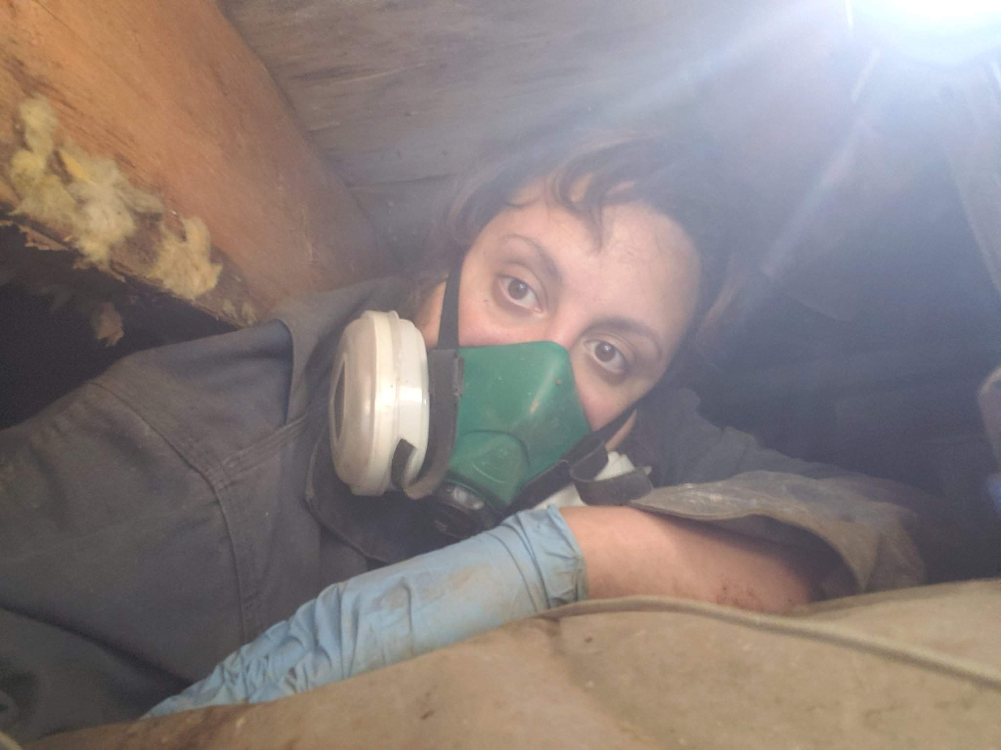 Lonesome Pine Exterminating Company, INC (Termitelady3) / Twitter