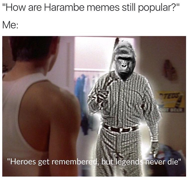 gemmithree's tweet image. 