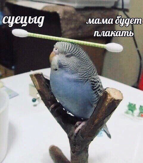 yevolos's tweet photo. Я каждую ночь перед сном: https://t.co/IJuNkMIXE7