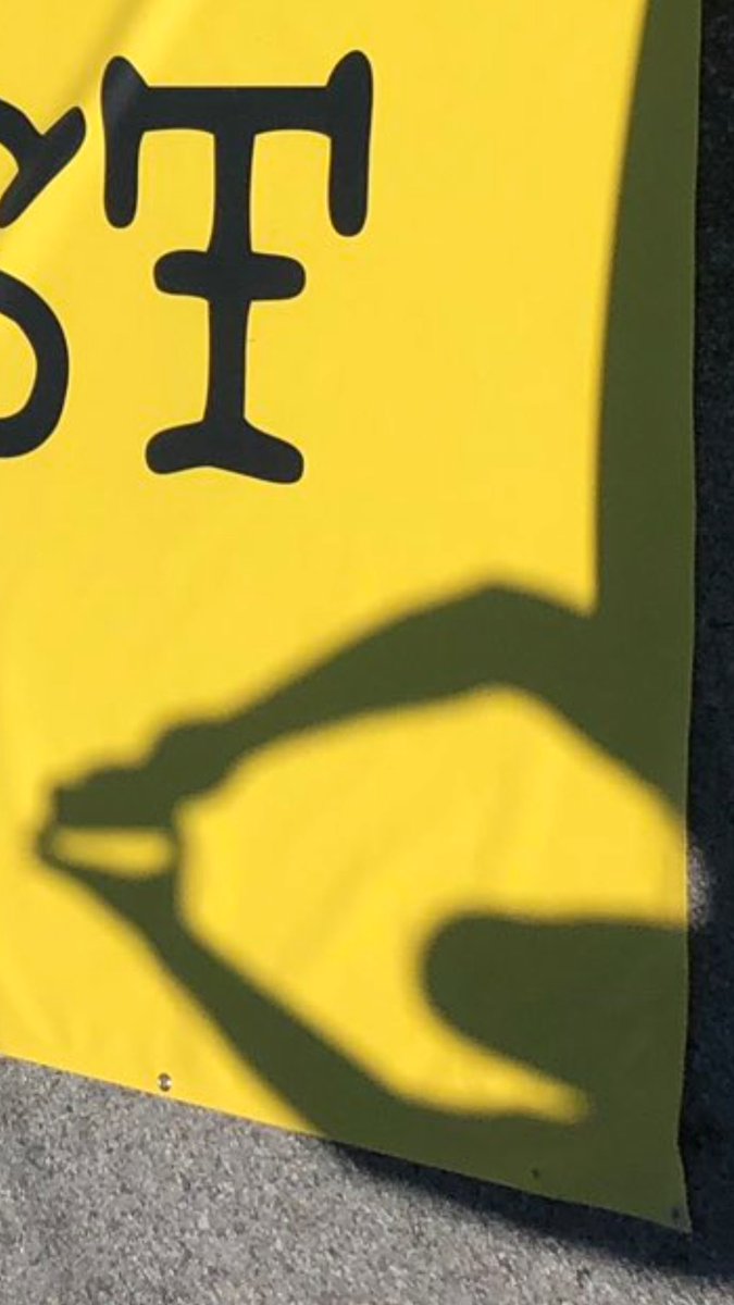 chattahooligan's tweet photo. Hey good news everybody.

Found the shade.

Here it is. https://t.co/yFSXLbq5qi