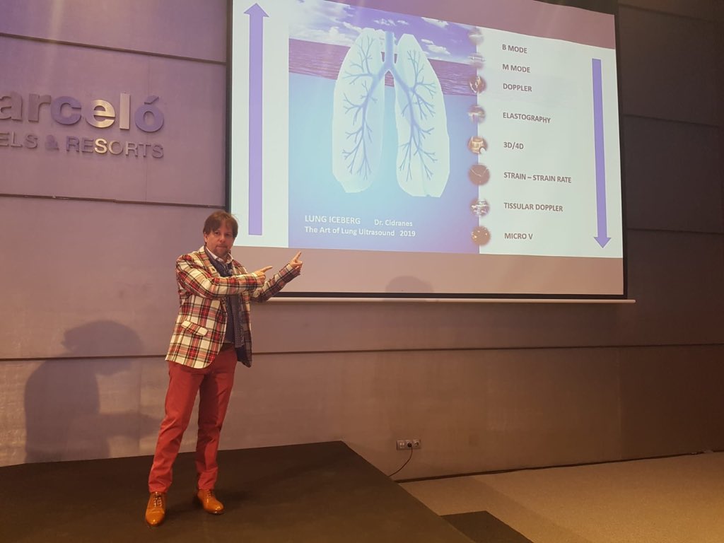 LUNG ICEBERG / My new concept 2019 in Lung Ultrasound. <a href="/LungsTv/">Lungs Tv</a> <a href="/ECOPULMONAR/">ECOPULMONAR</a> 2019 #theartoflungultrasound LUNG Ultrasound Second Level. #pocus #foamed #lungus #malaga . Coming soon paper with  512 patients #lungiceberg #strainrate #3D4D #TDI