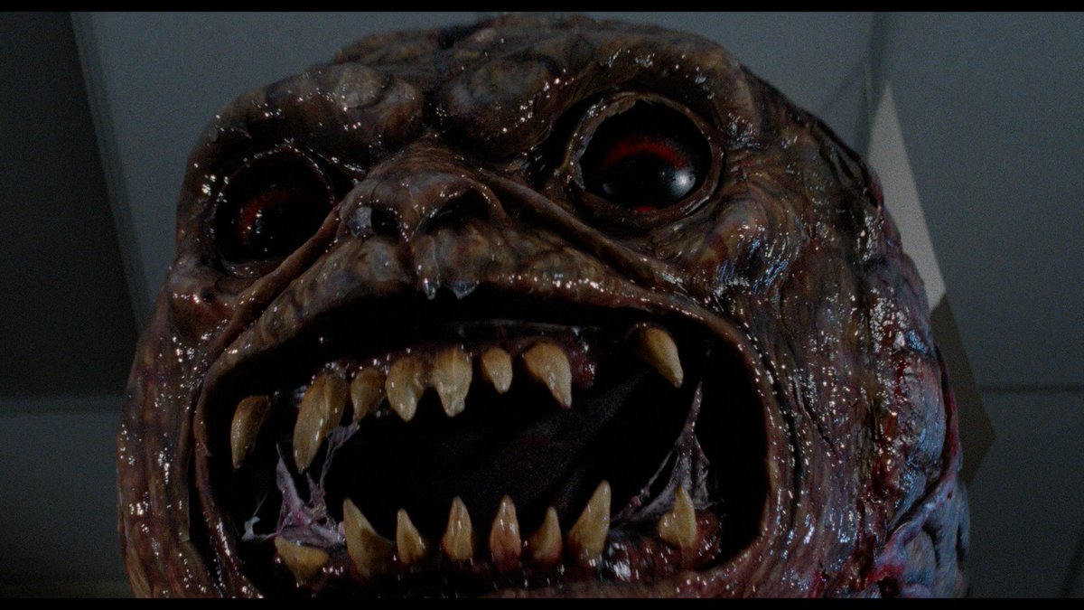 HighDefDiscNews's tweet photo. The Brain - Blu-ray Screenshots
#TheBrainMovie #EdHunt #TomBresnahan #CynthiaPreston #DavidGale
#GeorgeBuza #ChristineKossak #Screenshots #Bluray @Scream_Factory
VIEW the whole set (51 shots total) HERE: https://t.co/Mexb54E63f https://t.co/nTQWTFPRt9
