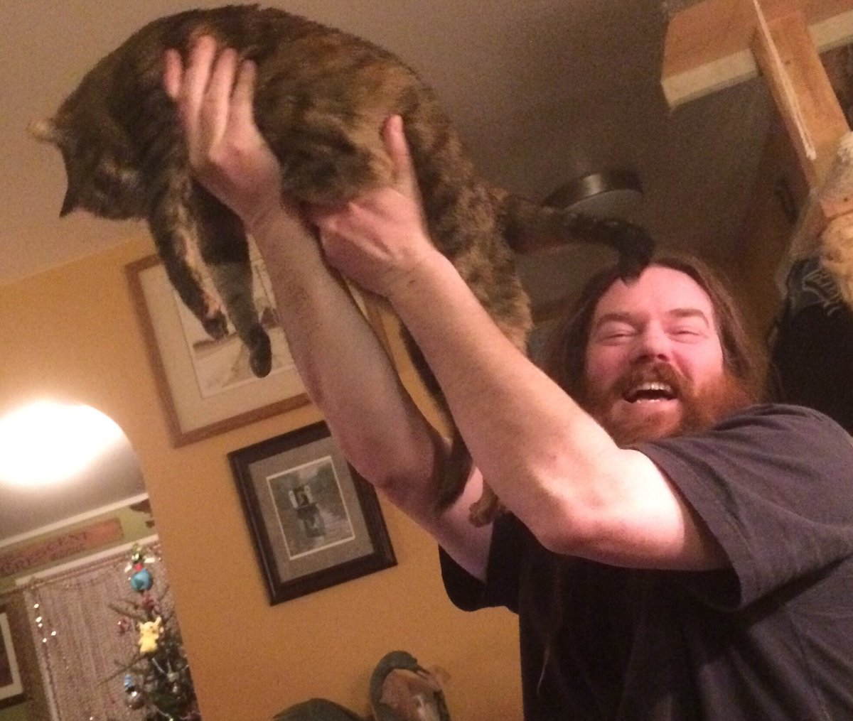 k3nadams's tweet photo. @BenSimmons25 SHAKE IT OFF, and raise that freakin cat!!! #sixerstalk #sixers #hadabadday #raisethecat https://t.co/sykmnfCtDE