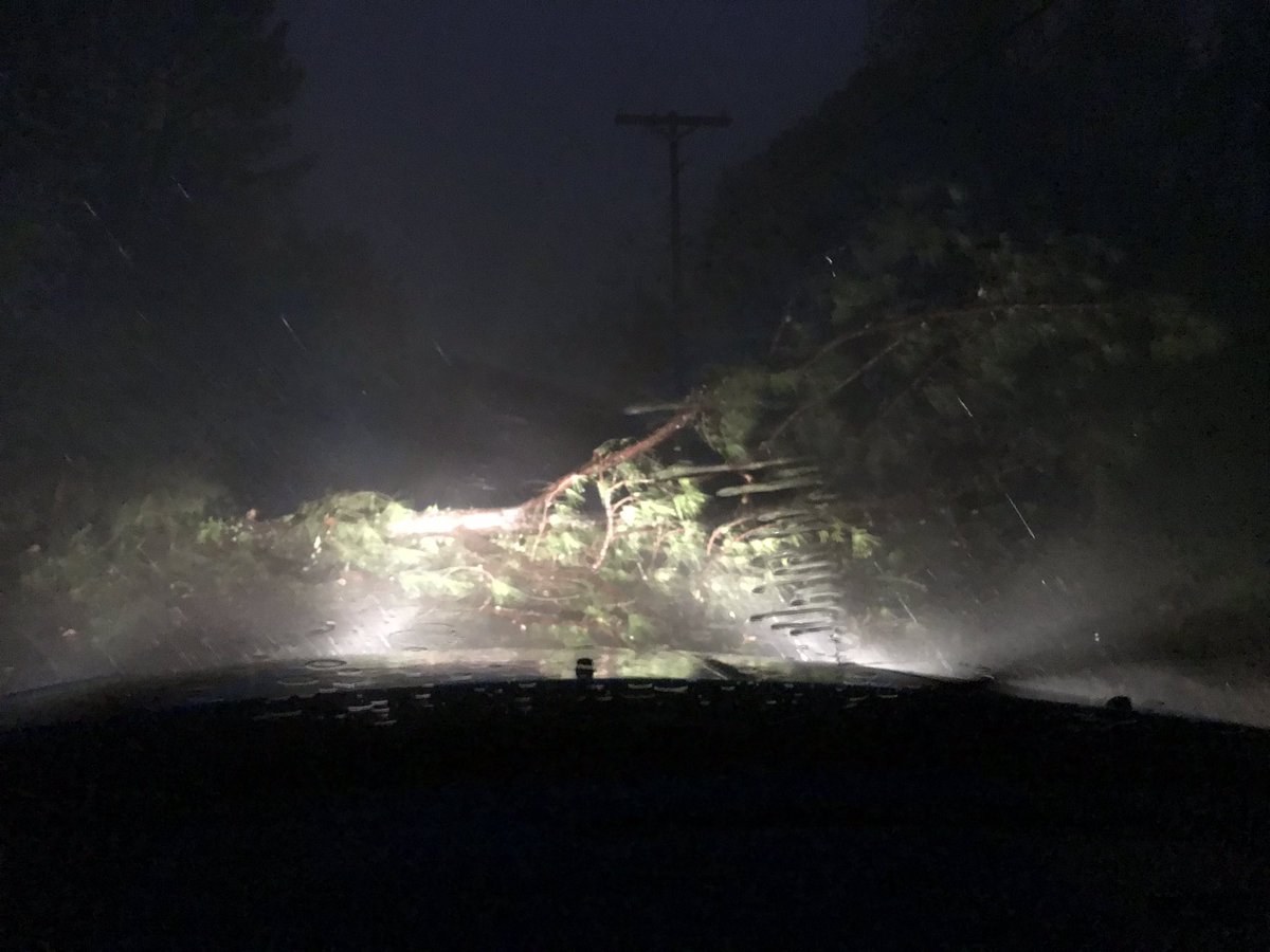Trees are down and roads are impassable right next to Aspen Heights near Mississippi State Campus. #mswx