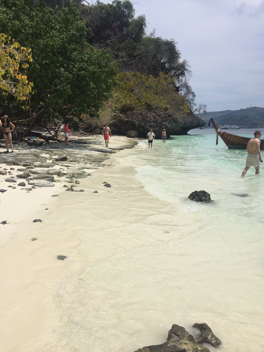 kinator's tweet photo. #monkeyisland #kohphiphi #thaïland https://t.co/jc2FdRLlrD