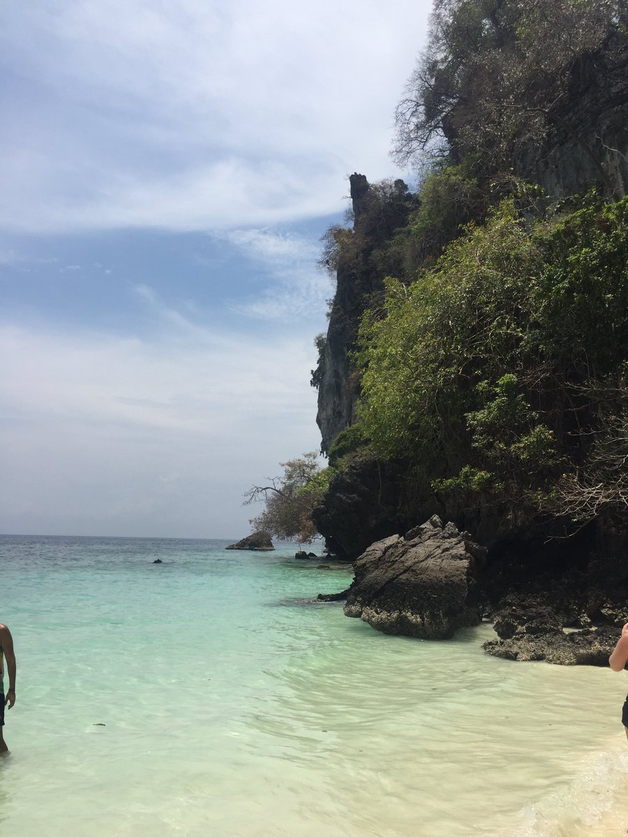 kinator's tweet photo. #monkeyisland #kohphiphi #thaïland https://t.co/jc2FdRLlrD