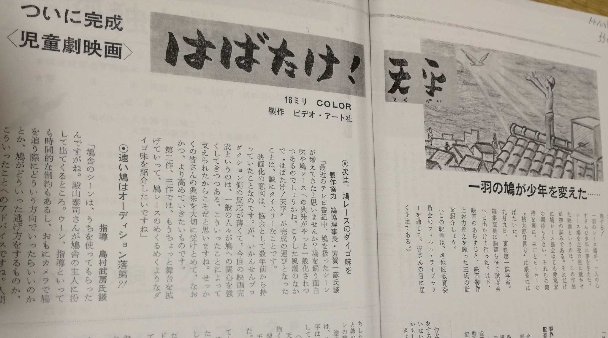 キジバト 鳩通信班 鳩 レースを主題とした日本初の映画って何 と問われて正解者が2人いたら奇跡 答えは はばたけ 天平 1980 レース鳩 を飛ばす少年の話 実は世界的に見てもレース鳩が主題の映像作品は少ない デンマーク映画 願い 空を キジバト 鳩通信班 鳩 レースを主題とした日本初の映画って何 と問われて正解者が2人いたら奇跡 答えは はばたけ 天平 1980 レース鳩 を飛ばす少年の話 実は世界的に見てもレース鳩が主題の映像作品は少ない デンマーク映画 願い 空を