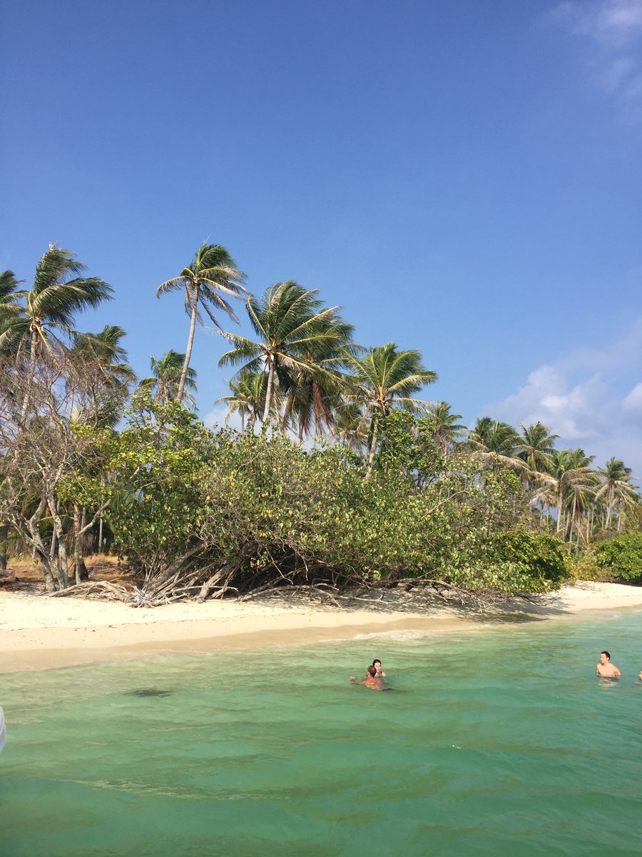 kinator's tweet photo. #coconutisland #kohphiphi #thaïland https://t.co/nFqKQUA0Zv