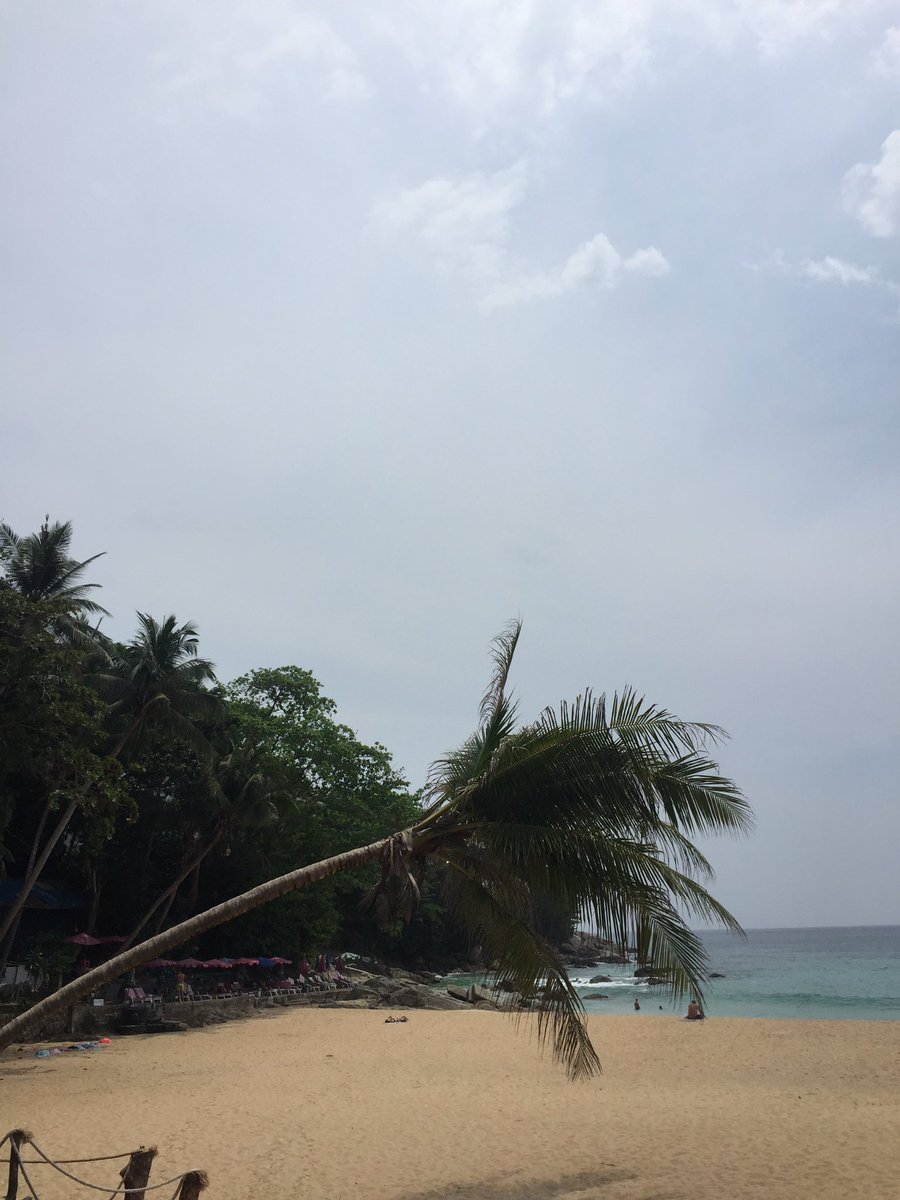 kinator's tweet photo. #kamala #hatsurin #surin #phuket #thaïland https://t.co/Ka27pdKP9V