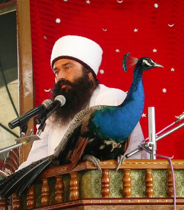 ShivvIndia's tweet photo. @Gurmeetramrahim dhan dhan satguru tera hi aasra pita ji good mng plz blessings always n do ever humanity works. #MissingUpaa #PlzComeBack 
#CleanlinessDrivesByStRamRahim https://t.co/yrBbMwd9Gg