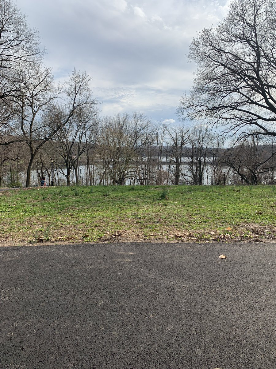 soyanggggg's tweet photo. walk in the park vibes https://t.co/XfHSR27UJJ