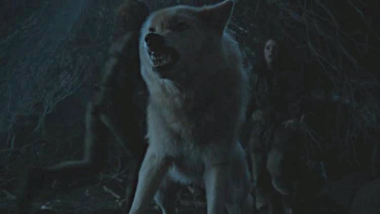 37. choose the saddest direwolf death (i’m actually crying over this grey wind + robb stark photo, but okay)