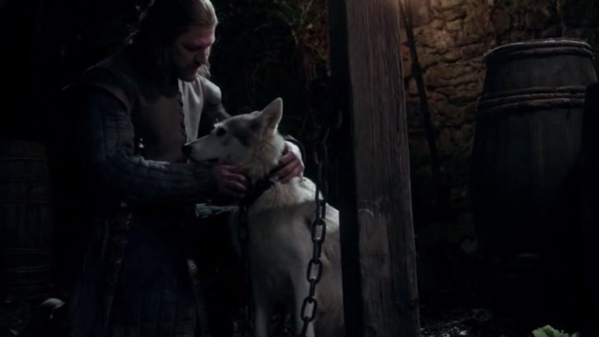 37. choose the saddest direwolf death (i’m actually crying over this grey wind + robb stark photo, but okay)