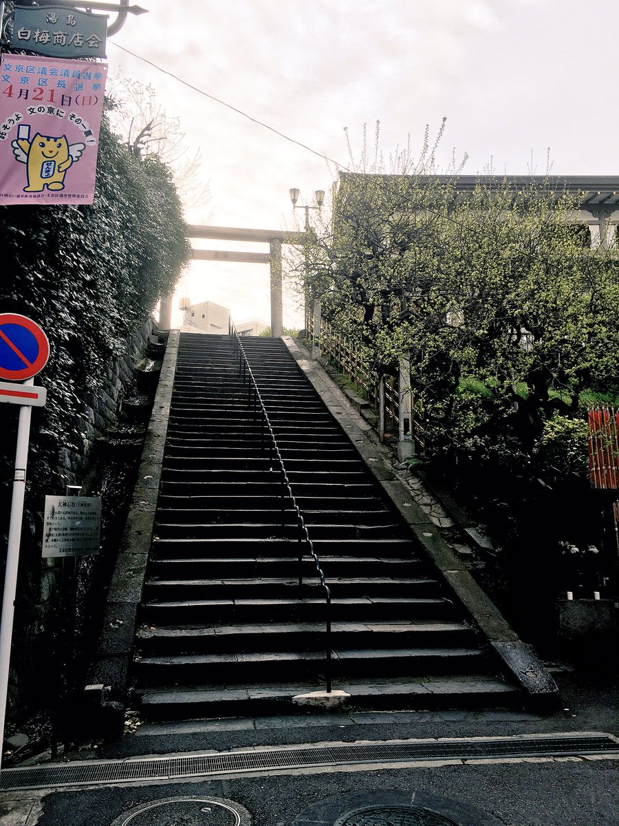 妖音 幽遊白書に出てきた聖地って本編の渋谷パルコと 三鷹駅と 炎の絆の日本橋周辺以外にないのかな 重根神社とかってモデルは無いんだろうか 湯島天神の男坂がちょっとだけ似てるかなあと思ったんだけど 拝殿は違うのよね 詳しい方教えて下さいー