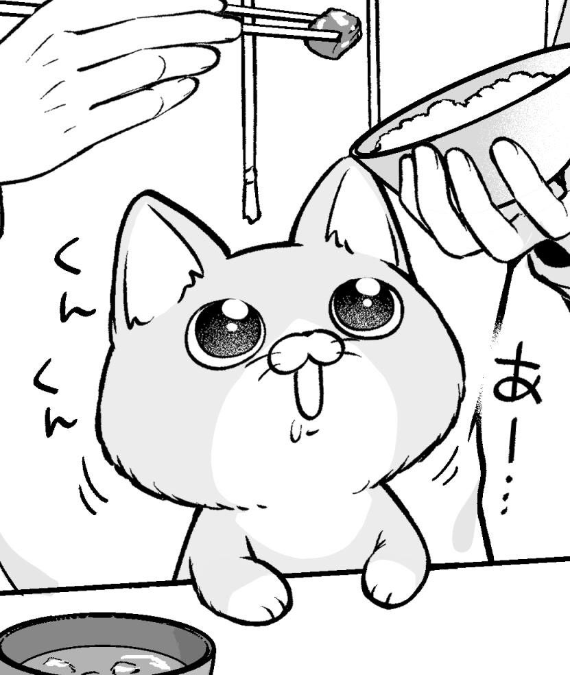🐱「まだかな」 