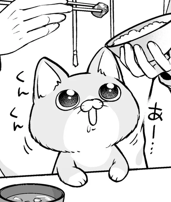 🐱「まだかな」 