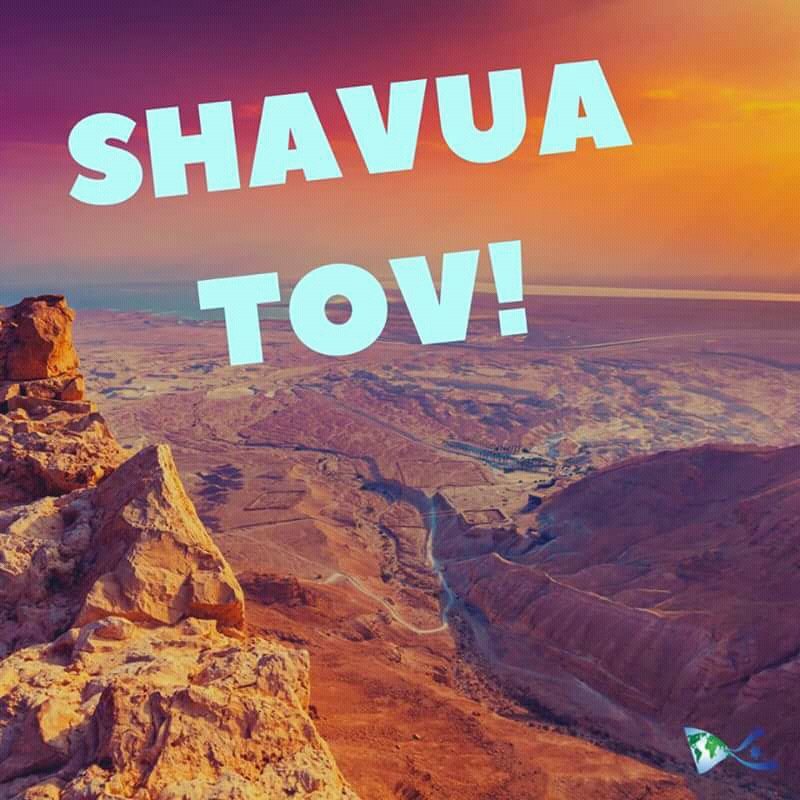 Shavua Tov! Have a good blessed week!  G-D Bless #HashemLovesYou #HashemLovesMe