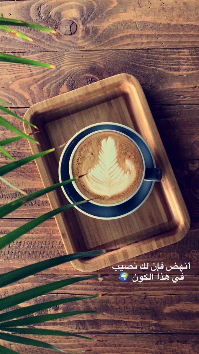 𝐵𝒶𝒹𝑒𝓇 | بـدر tweet media